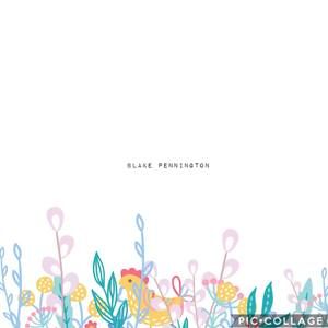 Meet your Posher, Blake